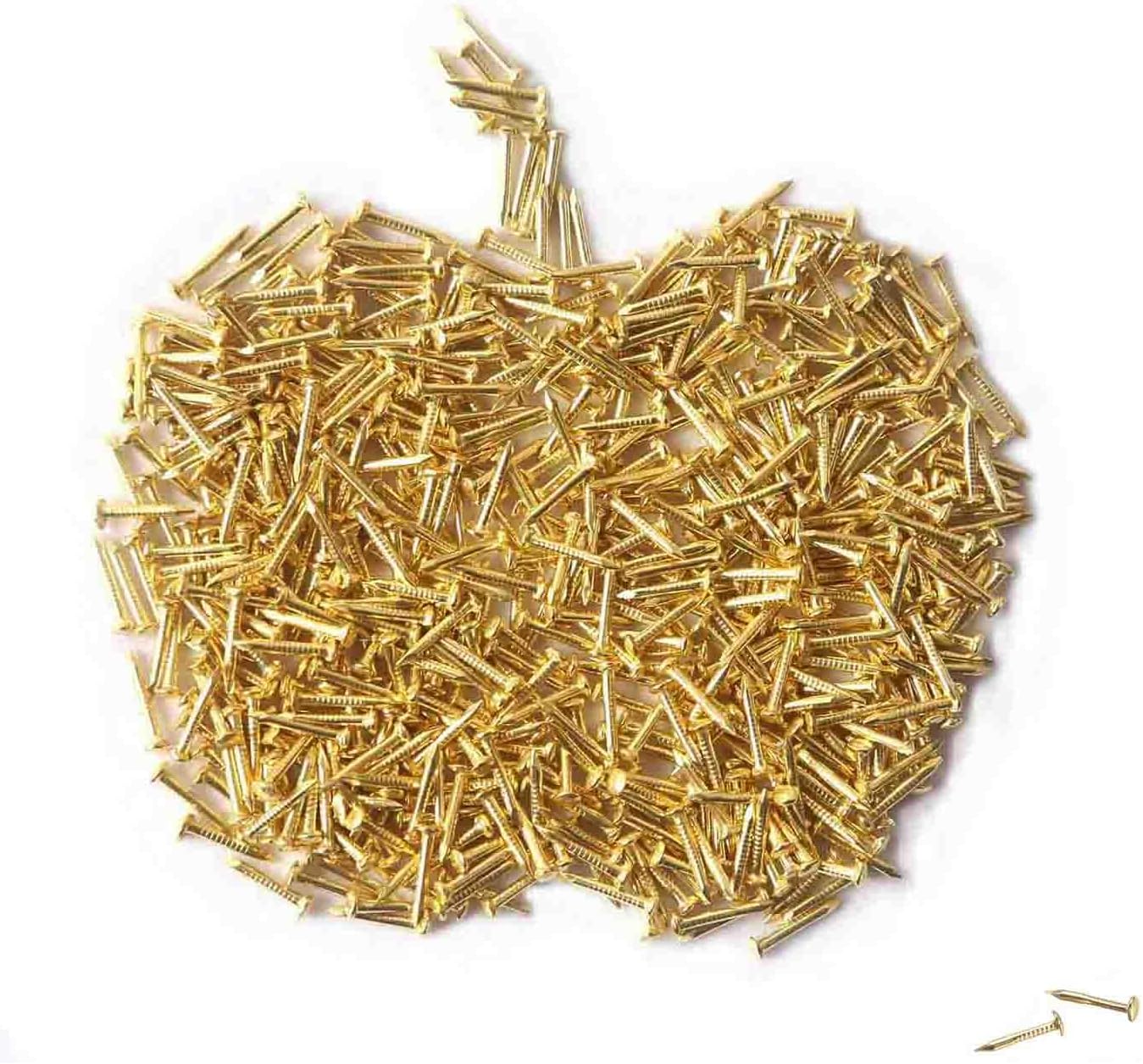 Tiny Wooden Nails for DIY Craft Projects, Antique Drawer Repairing, Mini Boxes Decorative Accessories[Set of 200pcs] (1×10mm, Gold)