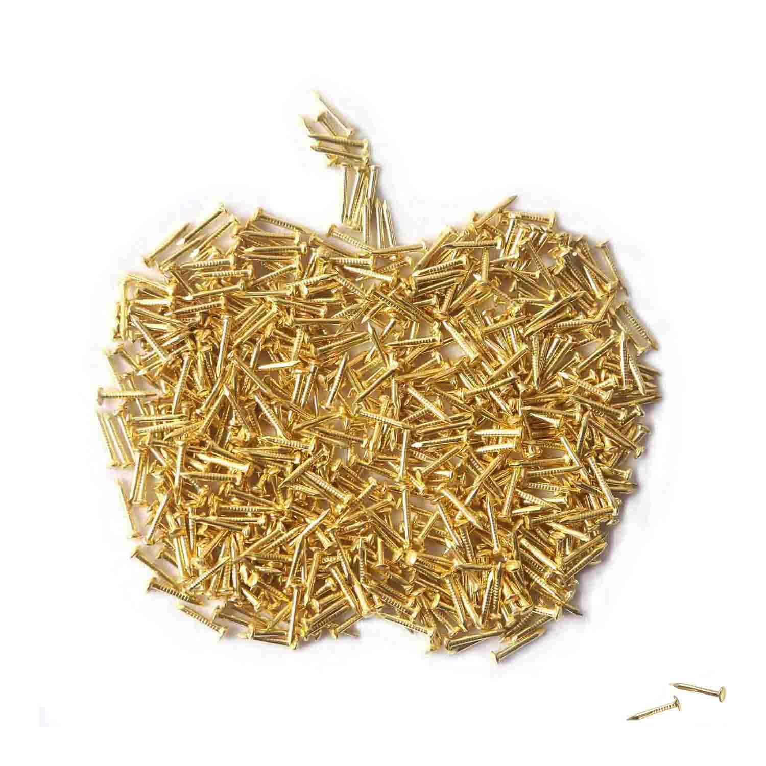 Tiny Wooden Nails for DIY Craft Projects, Antique Drawer Repairing, Mini Boxes Decorative Accessories[Set of 200pcs] (1×10mm, Gold)