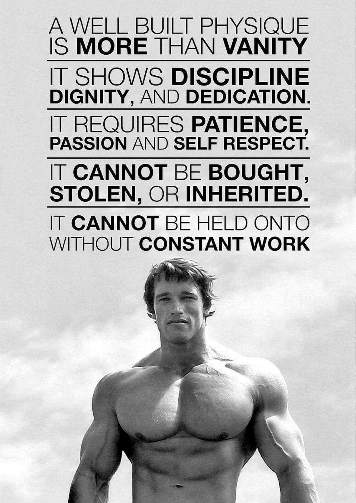 Stukk Arnold Schwarzenegger Motivation Gym Poster Art - A2 (420 x 594mm)