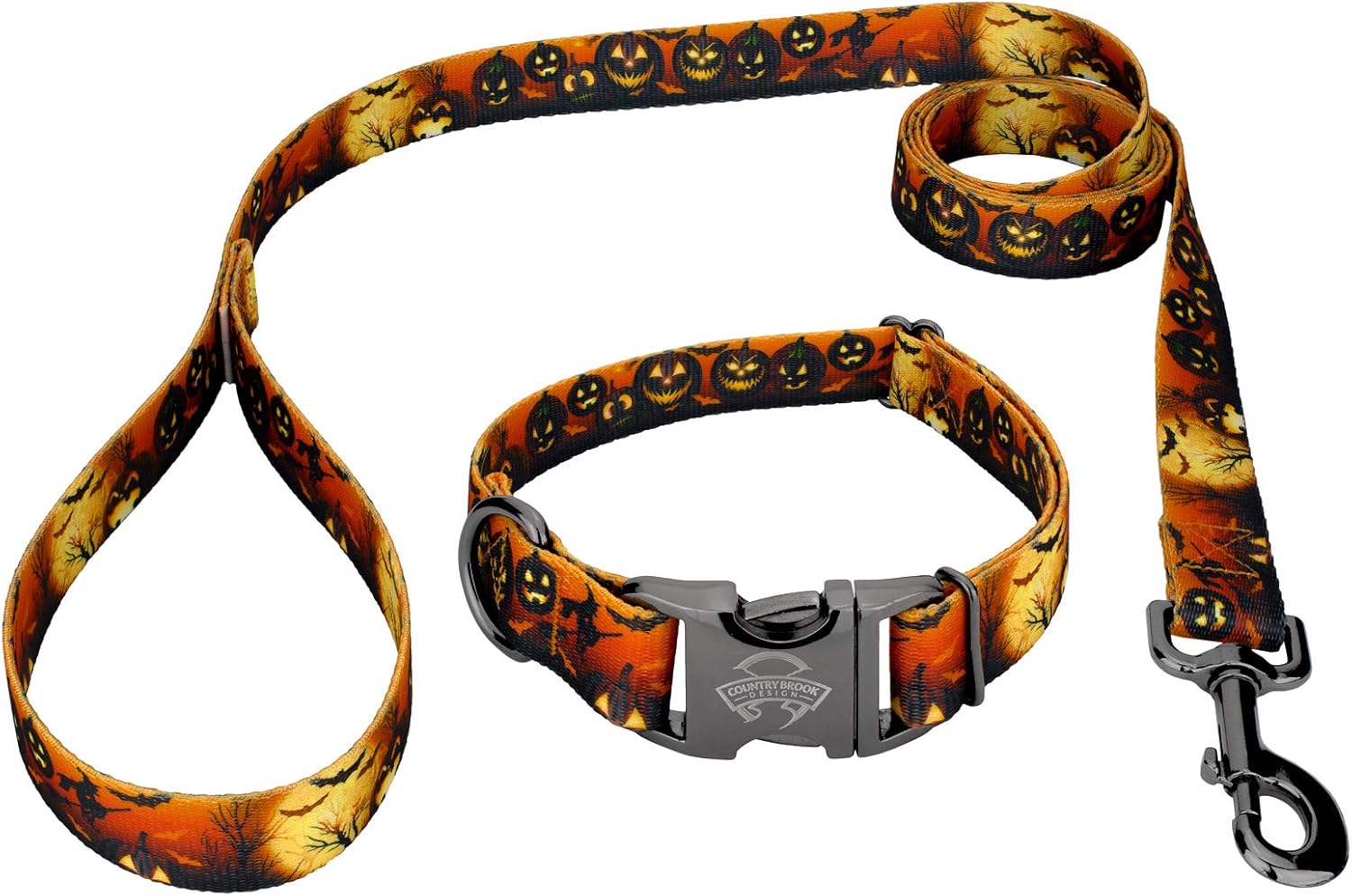 Country Brook Petz - Gunmetal Premium Midnight Fright Dog Collar and Leash - Halloween Collection Featuring Spooky Designs (1 Inch, Large)