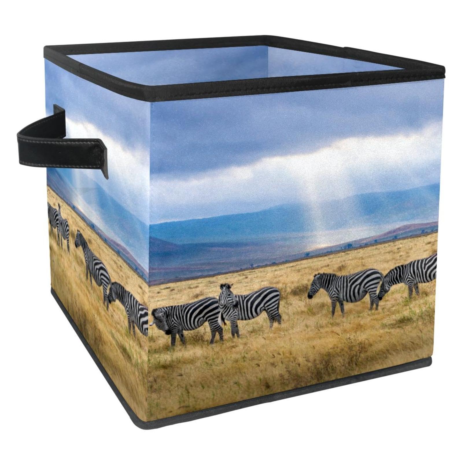 Boîte de rangement pliable zèbre en tissu cube pour placard et chambre