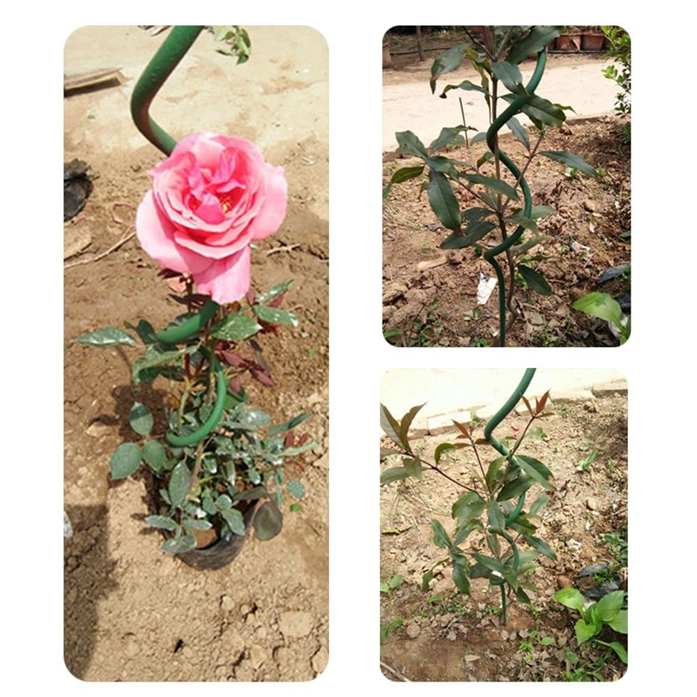 Support de Rose Poteau en Spirale Support de Redressage de Fleurs, Treillis pour Plantes en Pot pour Plantes Grimpantes Treillis de Plantes Bricolage Treillis Supports de Fleurs, Lot de 3(Size:150CM/5