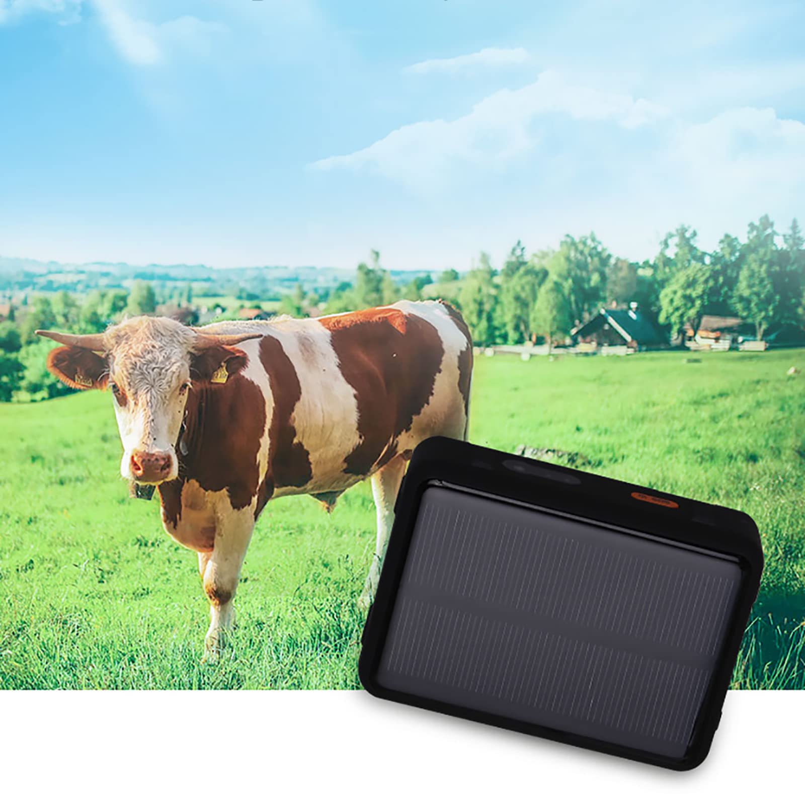 Lokalizator Gps Bydła, Urządzenie Śledzące Panel Słoneczny 4G 9000mAH, Pozycjonowanie W Czasie Rzeczywistym I Historyczne Zapytanie O Tor, Dla Bydła, Koni, Wielbłądów, Psów Rasy Beagle