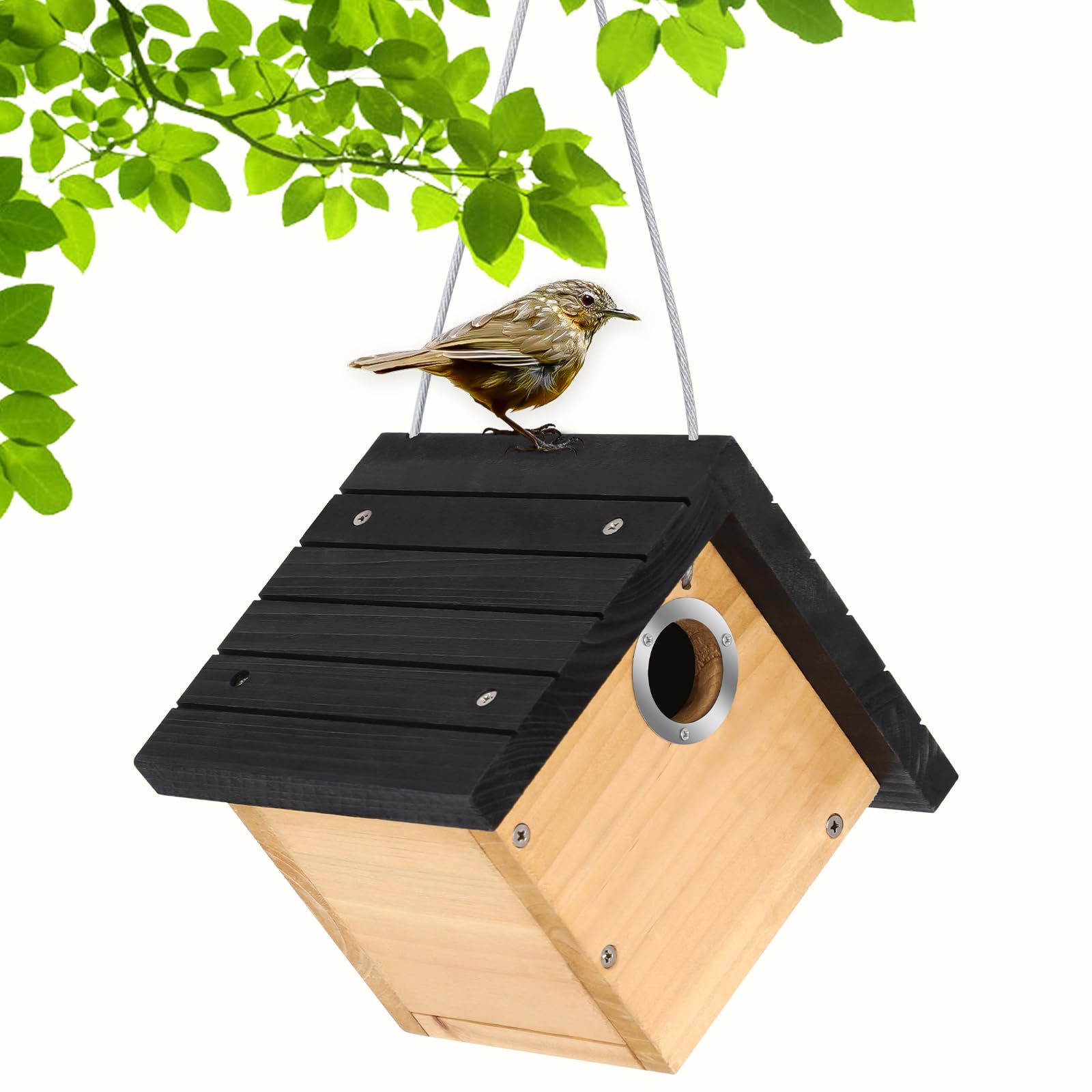 Gtongoko Wren Bird House Black