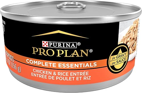 Purina Pro Plan Complete Essentials Comida Húmeda para Gatos con Salsa de Alta Proteína, Entrada de Pollo y Arroz - (Paquete de 24) Latas de 5.5 Oz