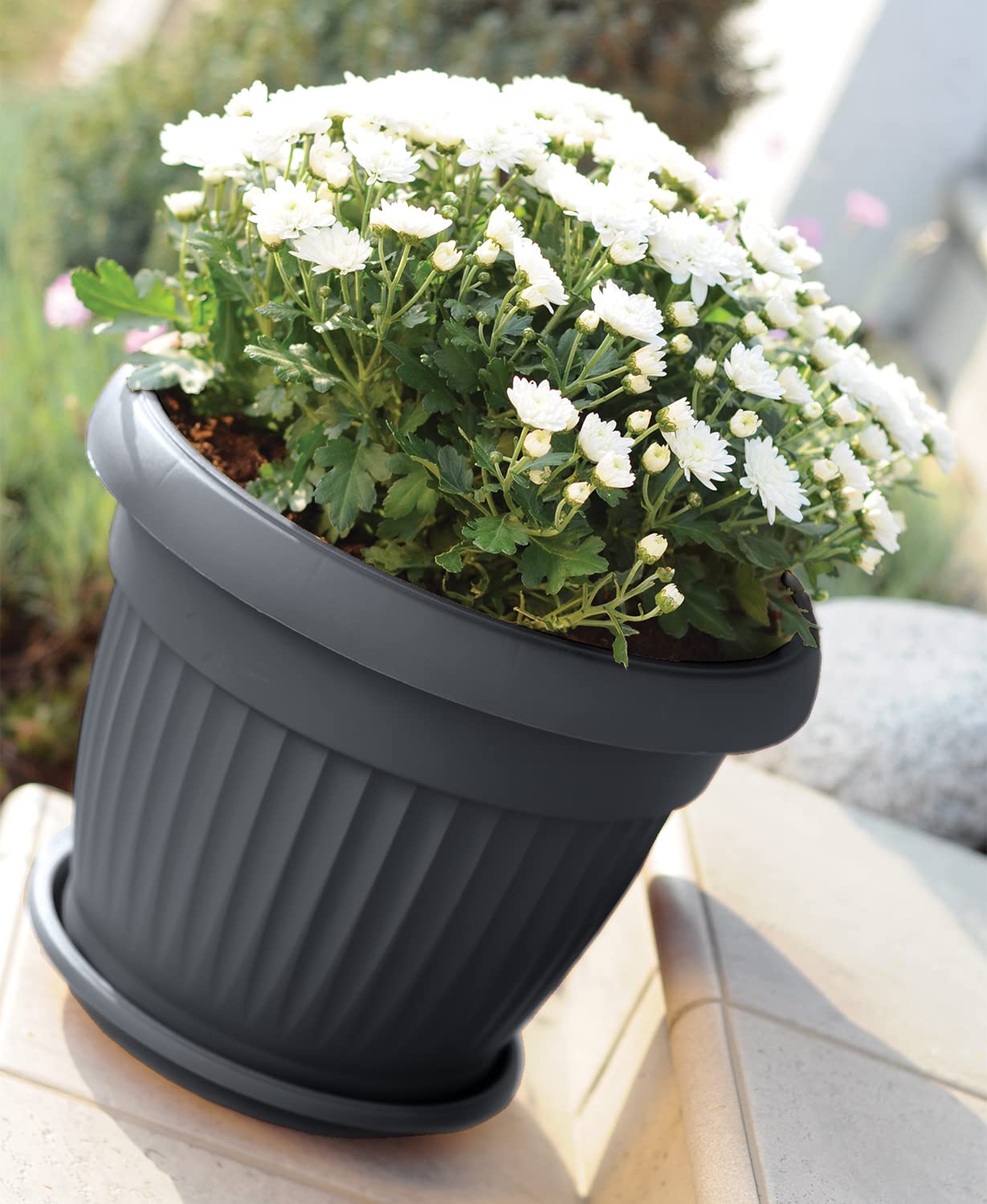 IMJ-Global Vaso con Sottovaso per piante Fiori DCE64-POD54 TERRA Tondo Ø64cm da interno esterno Nero 78 Litri Ø64x50 cm design Classico Fioriera in plastica da balcone Grigio Antracite