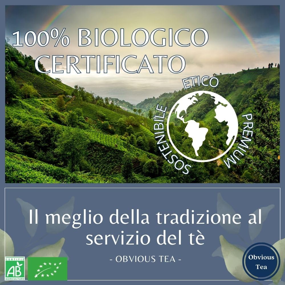 Tisana Melissa Bio Sfusa, Rilassante e Digestiva, Senza Teina, 1kg