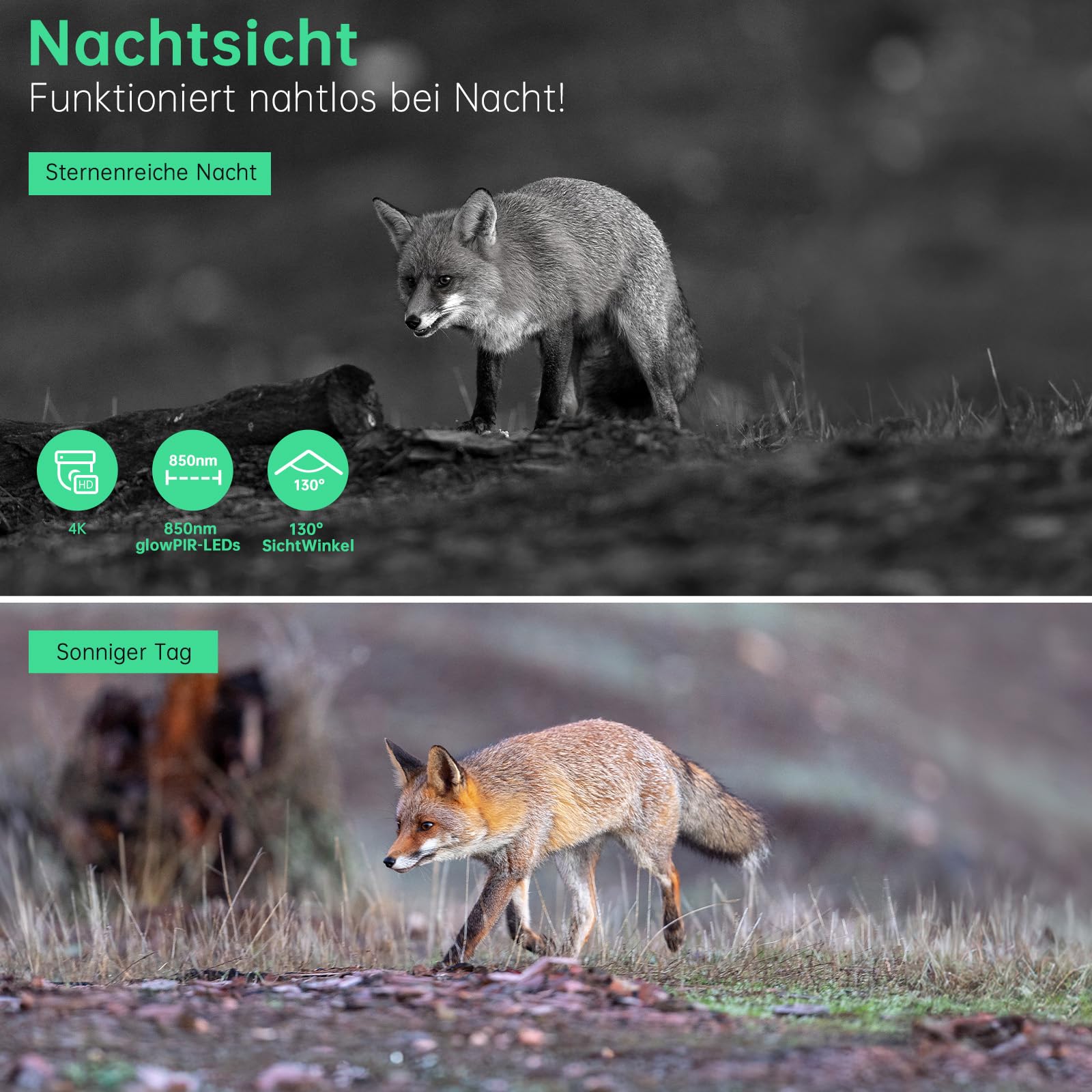 Hrivcam 4K 64MP Wildkamera mit Handyübertragung APP, Solar WLAN Bluetooth Eingebaute 5000mAh, 64GB Speicherkarte, Wildkamera mit Bewegungsmelder Nachtsicht, IP67 Wasserdicht 130°Weitwinkel