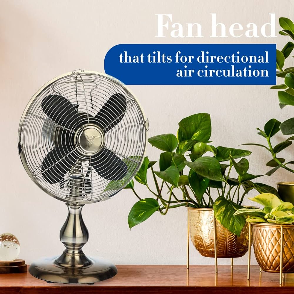 Amazon.com: DecoBREEZE Oscillating Table Fan, 3-Speed