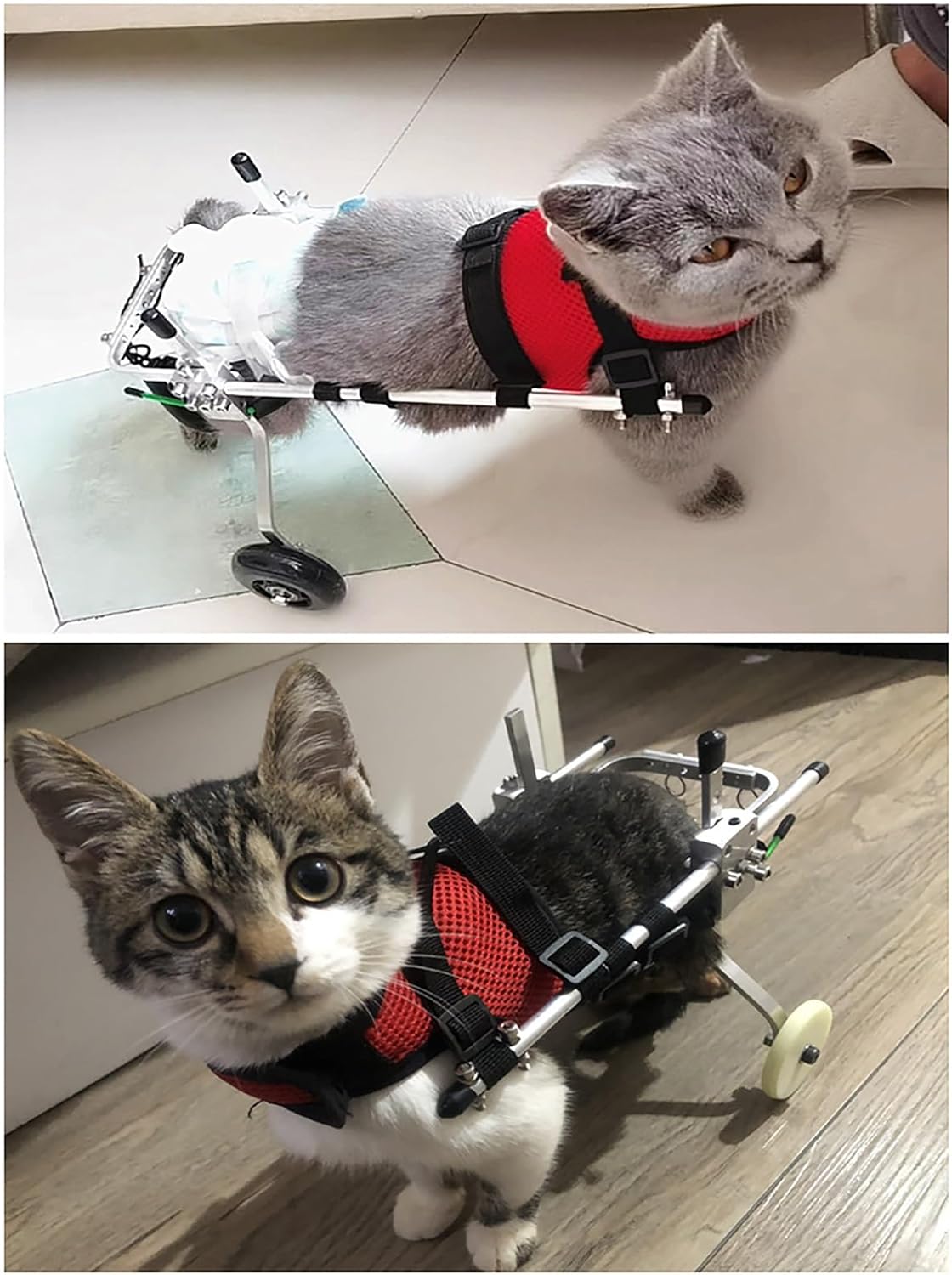 Lightweight Adjustable Cat Wheelchair for Rear Leg Support, Mobility Aid for Paralysis Kittens, Rehabilitation Cart for Back Legs - Size L