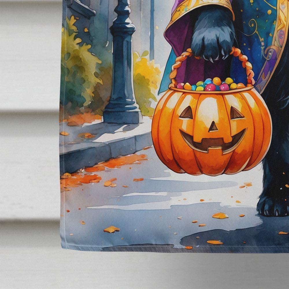 Caroline's Treasures Newfoundland Halloween Trick or Treat House Flag Large Porch Sleeve Pole Decorative Outside Yard Banner Artwork Wall Hanging, Polyester, House Size, Multicolor