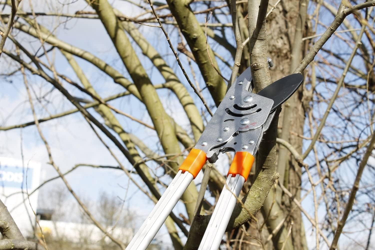 Coupe-Branches à Crémaillère Ultra Puissant | Cisaille Télescopique Réglable 60-108 cm | Lame Acier SK5 | Poignées Ergonomiques | Coupe Facile Bois Dur 5 cm | Outil Élagage Jardin