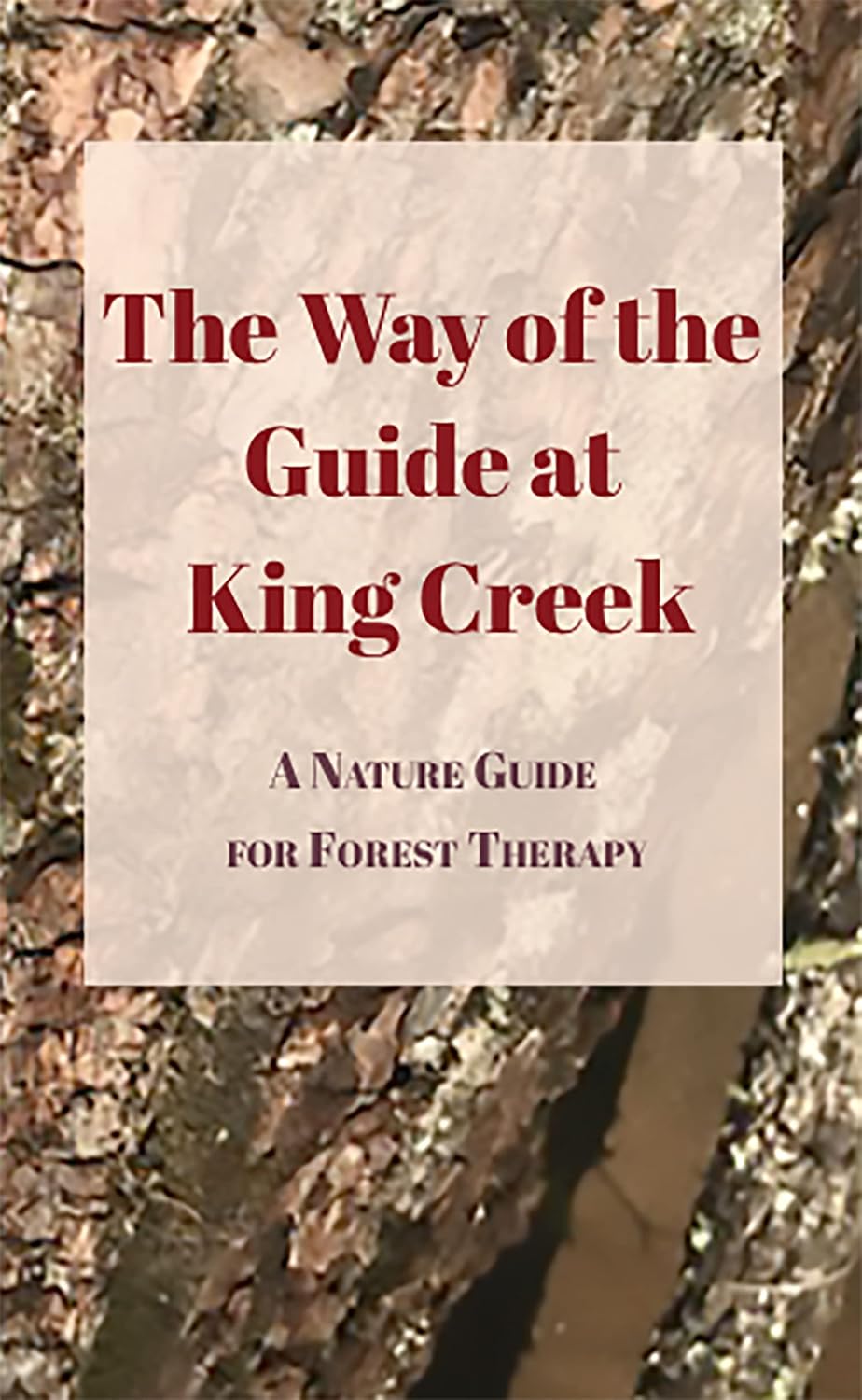 The Way of the Guide at King Creek: Forest Therapy (Forest Bathing) Nature Guide