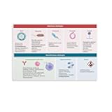 Infectious And Noninfectious Etiologies Chart Poster Viral Bacterial Immunological And Toxin Causes Reference Guide Canvas Painting for Bedroom Living Room Decor 18x12inch(45x30cm) Unframe-style