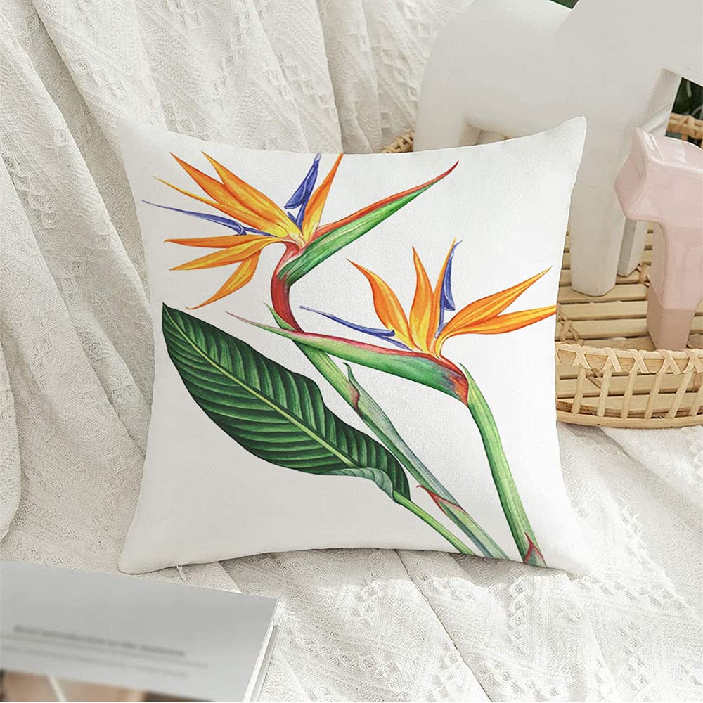 Decorative Throw Pillow Cover Cushion Case Velvet Red Exotic Bird Paradise Flowers White Watercolor Nature Blue Leaf Foliage Plant Branch Floral Pillow Cover 18 x 18 Inches for Sofa Bedroom