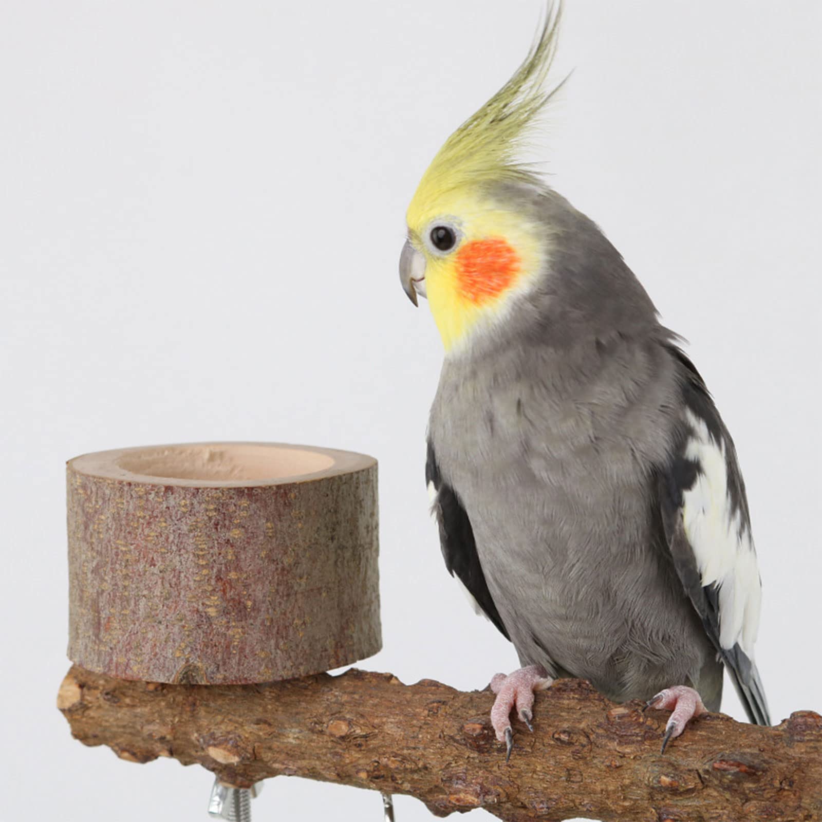 Vogelkäfigständer mit Rädern, Papageienständer, Vogelspielzeug, Papageienspielzeug, Vogelsitzstangenständer, Spielständer, Kletternetz, Spielständer für Käfig