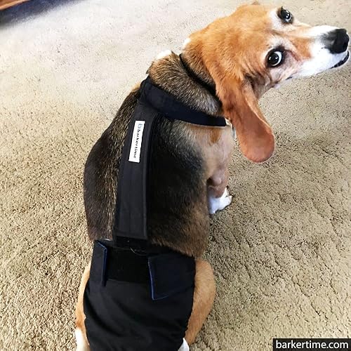 Miniatura 9 de Pañal negro para perro, XXL, con orificio para la cola, fabricado en Estados Unidos