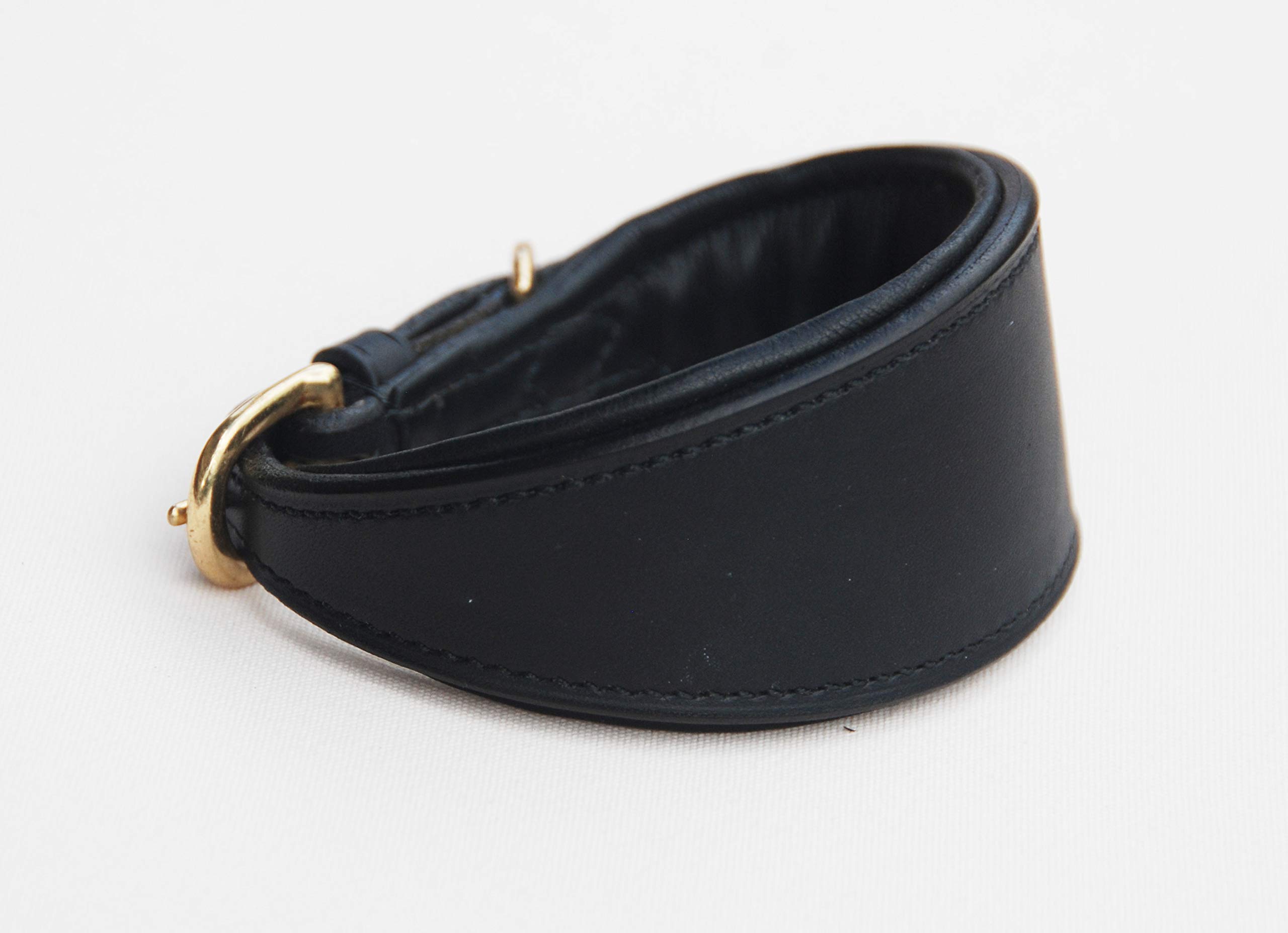 Collier lévrier noir en cuir rembourré pour chiens