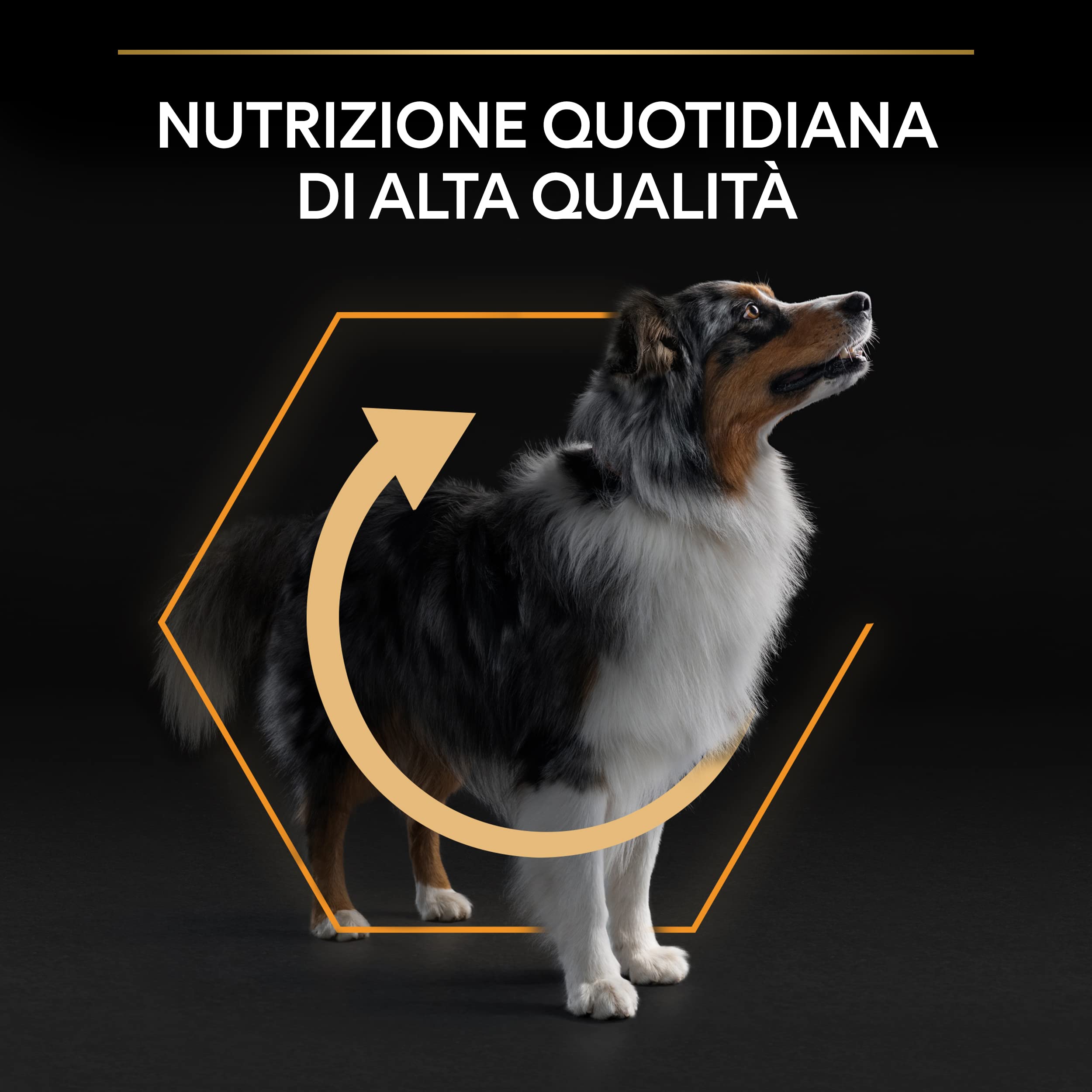 PURINA PRO PLAN Crocchette per Cani Adulti Taglia Media con Pollo, Cibo Secco 14 kg