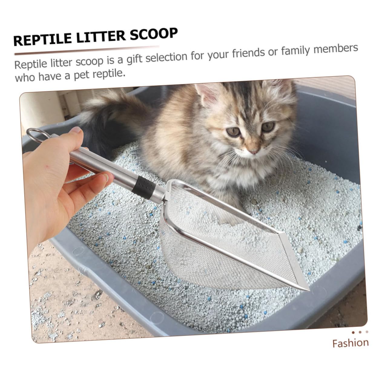Toddmomy Arena De Acero Inoxidable para Hámsteres Gatos Serpientes Pala para Arena De Reptiles Alfombra para Perros Jaula para Cacatúas Hermético para Rocas Arena para