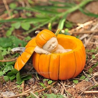 Top Collection Miniature Fairy Garden and Terrarium Sleeping Fairy Baby in Orange Pumpkin Statue - Buy now