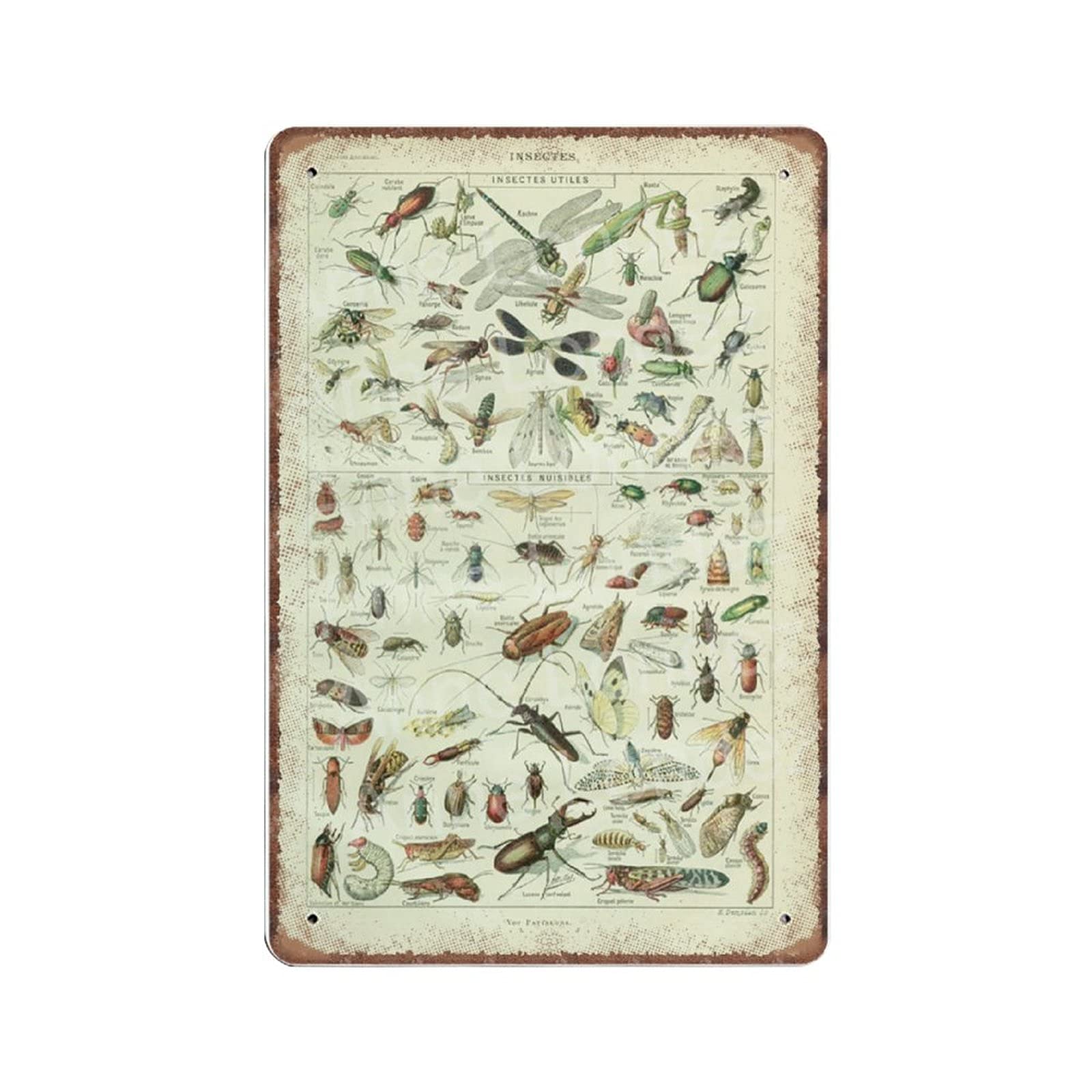 Daiercy Material_tin 8 Insects Art 1922 Vintage Old Insects Tin Signs Bugs Art Biology Poster Funny Vintage Metal Sign Plaqu Poster Wall Art Pub Bar Kitchen Garden Bathroom Home Decor, 140 X 200 Mm