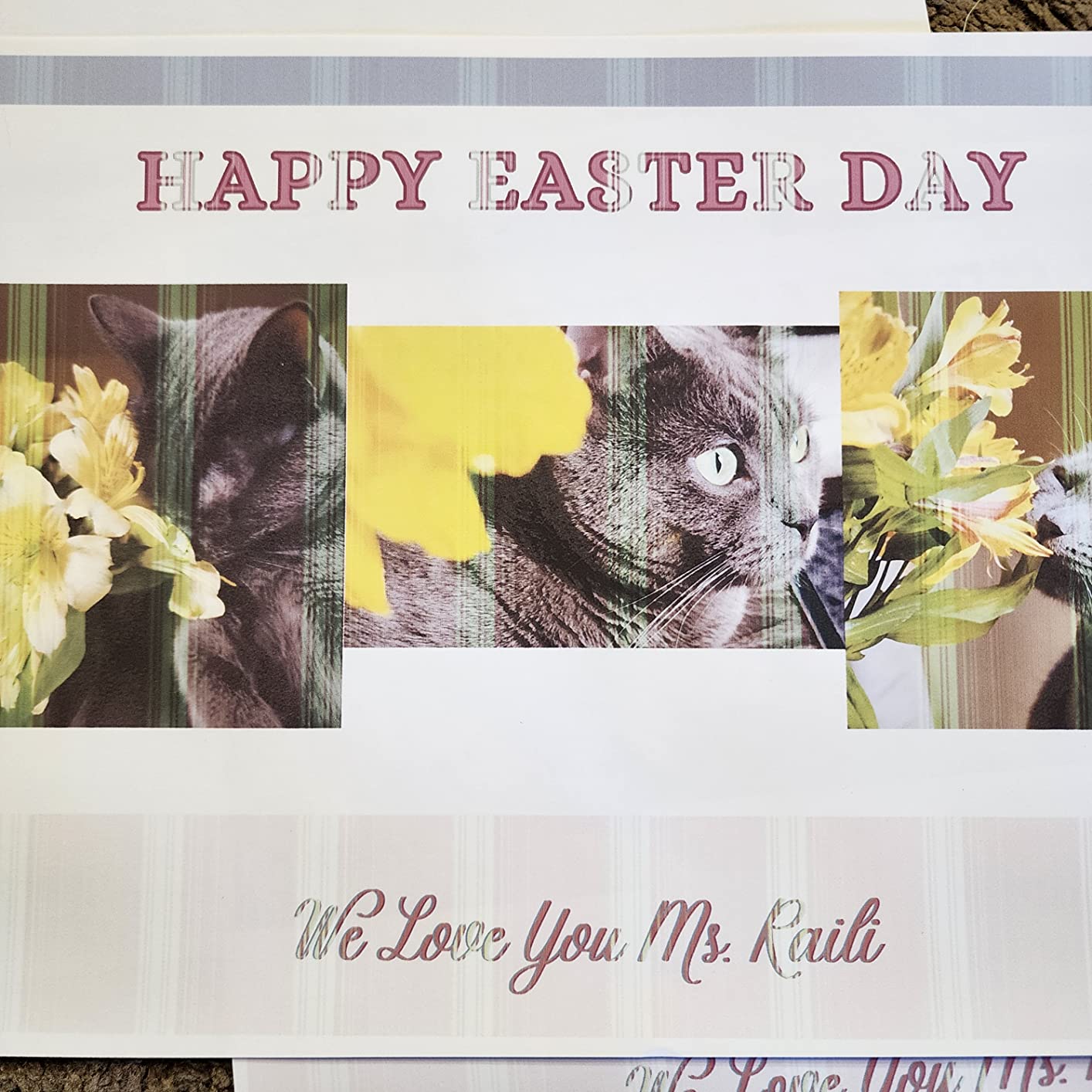 SAWGRASS VIRTUOSO SG400 SUBLIMATION PRINTER STARTER BUNDLE visual data 7