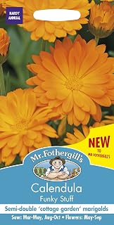 Mr Fothergill’s 19017 Flower Seeds, Calendula Funky Stuff, Yellow
