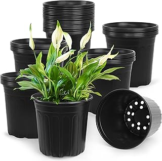 2 Gallon Plastic Pots For Plants Picks collage image 4