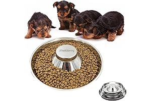 Puppy Dog Bowl: Stainless Steel Feeder Bowl for Small, Medium, and Large Dogs