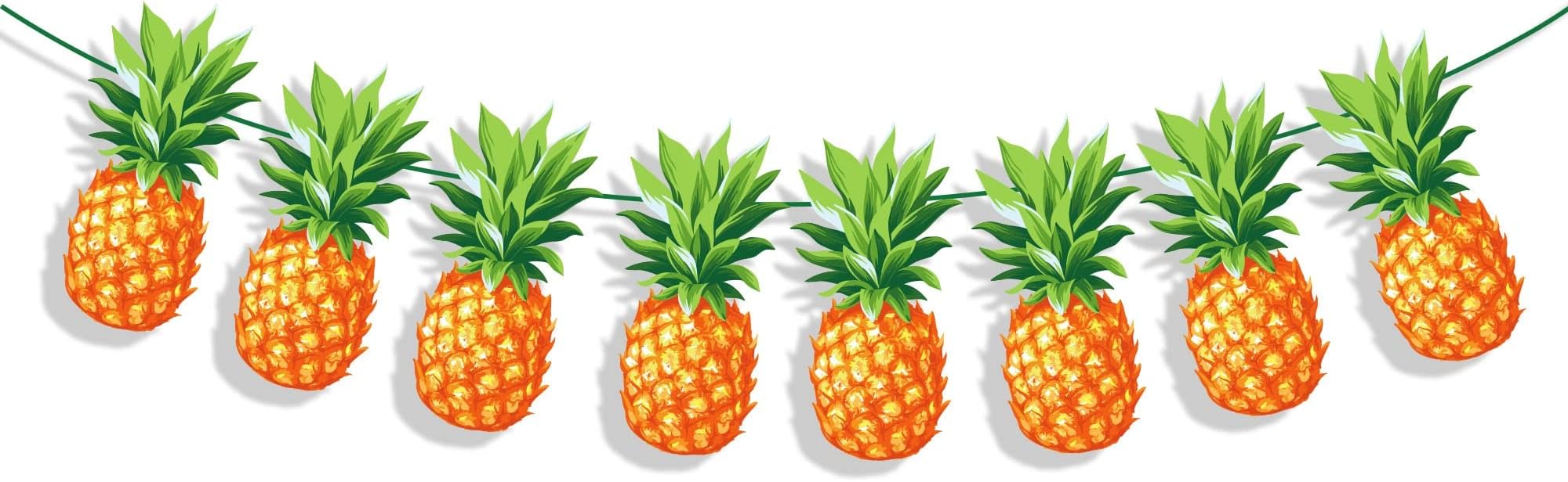 Pineapple Banner, Beach Summer Tropical Party Sign, Hawaiian Birthday Decorations, Luau Boy Girl Baby Shower Theme Supplies, Bday Kids Garland Decor