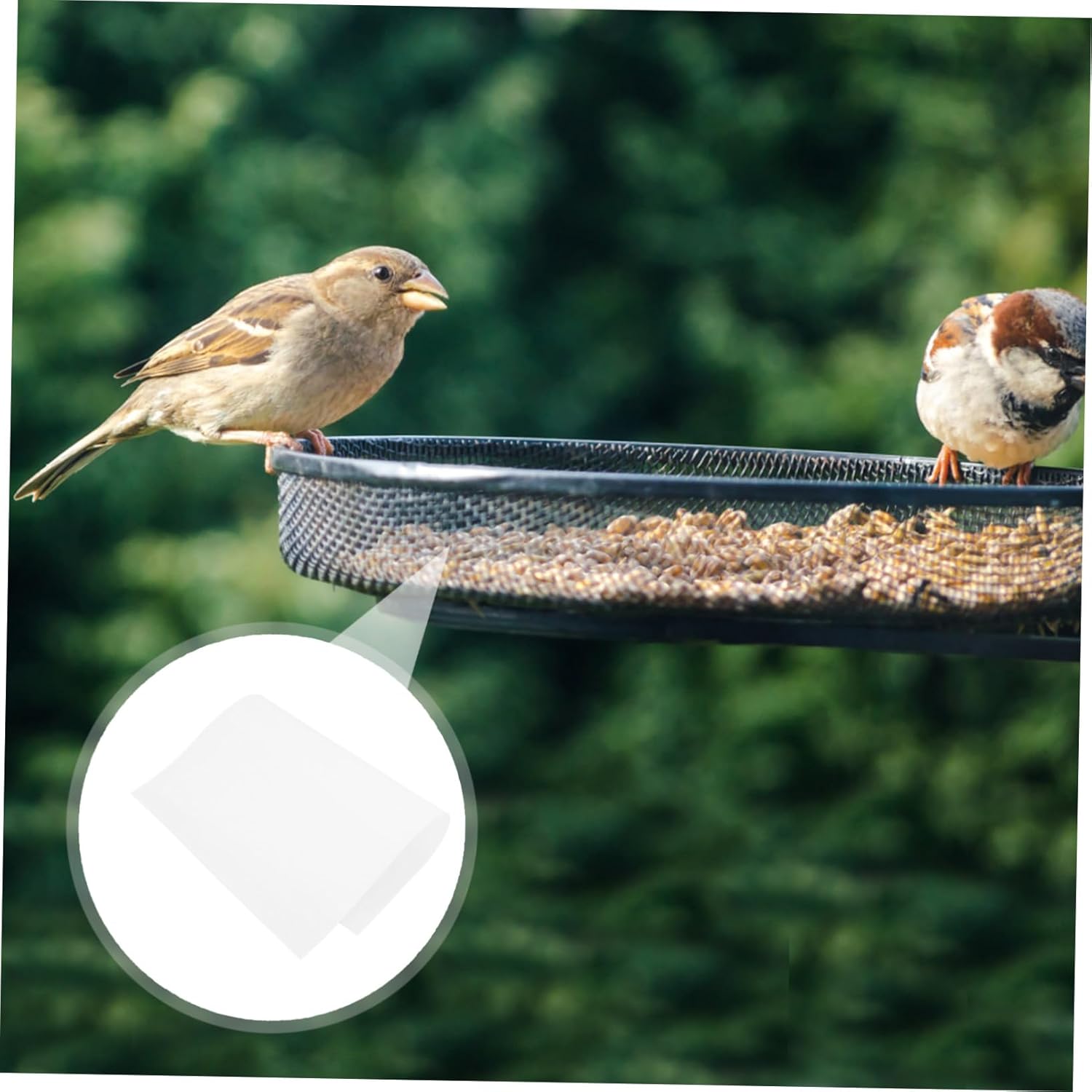 100pcs Disposable Bird Cage Liner Papers Absorbent Parrot Cage Cushion Pads Natural Odorless Water-Resistant Pre-Cut for Clean Healthy Bird Environment