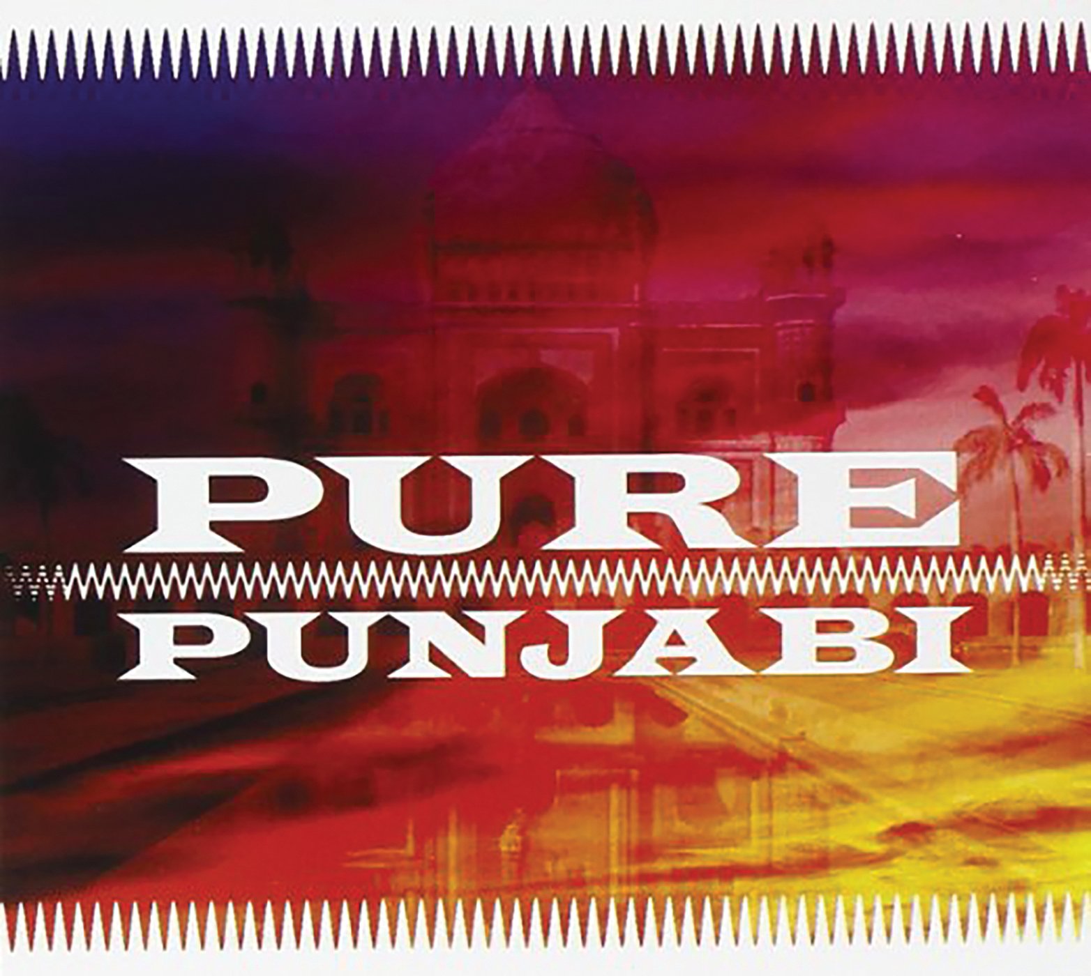 Pure Punjabi [Audio CD] VARIOUS ARTISTS