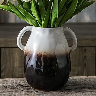 White Gradient Ceramic Vase with 2 Handles, Modern Farmhouse Vase for Home Decor, Rustic Terracotta Vase, Decorative Pottery Vase, Clay Flowers Vase, Centerpieces for Dining Table - 7 Inch