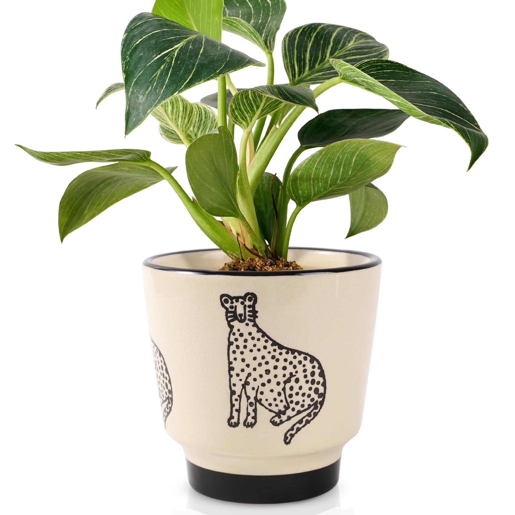 STHIE 5 Inch Ceramic Planters for Indoor Plants, Funny Small Plant Pots
