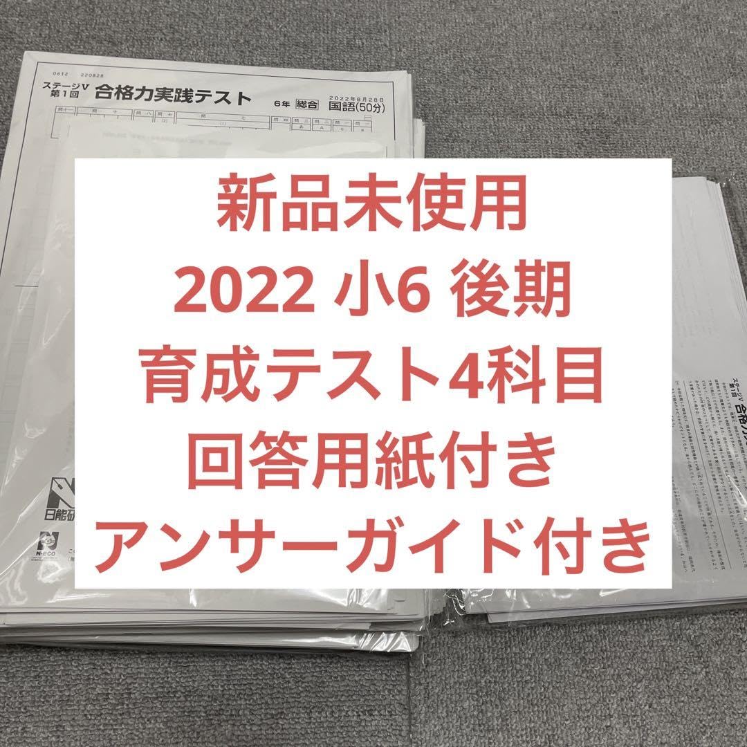 日能研 合格力実践 育成テスト 2022年度 6年 販売済み