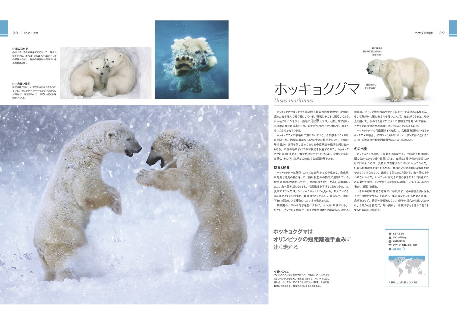 驚くべき世界の野生動物生態図鑑 スミソニアン協会 小菅 正夫 黒輪 篤嗣 本 通販 Amazon