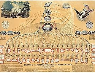 Shafer USA Federal Government American Union Diagram Art Print Canvas Premium Wall Decor Poster Mural