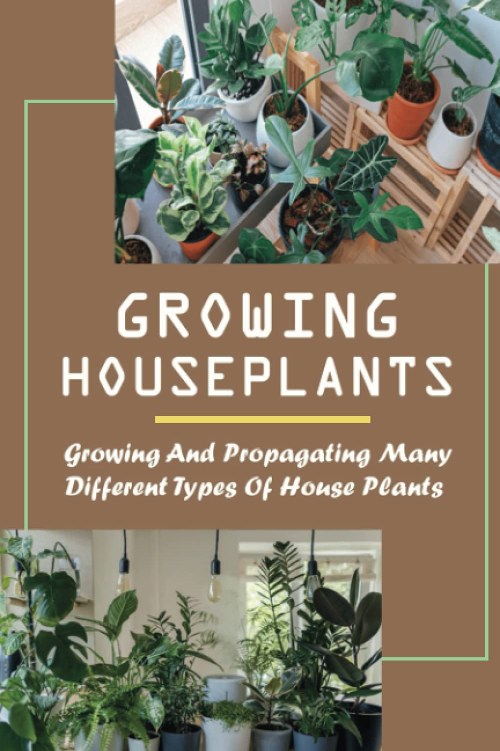 Growing Houseplants: Growing And Propagating Many Different Types Of House Plants: How To Grow And Take Care Of Indoor Plants