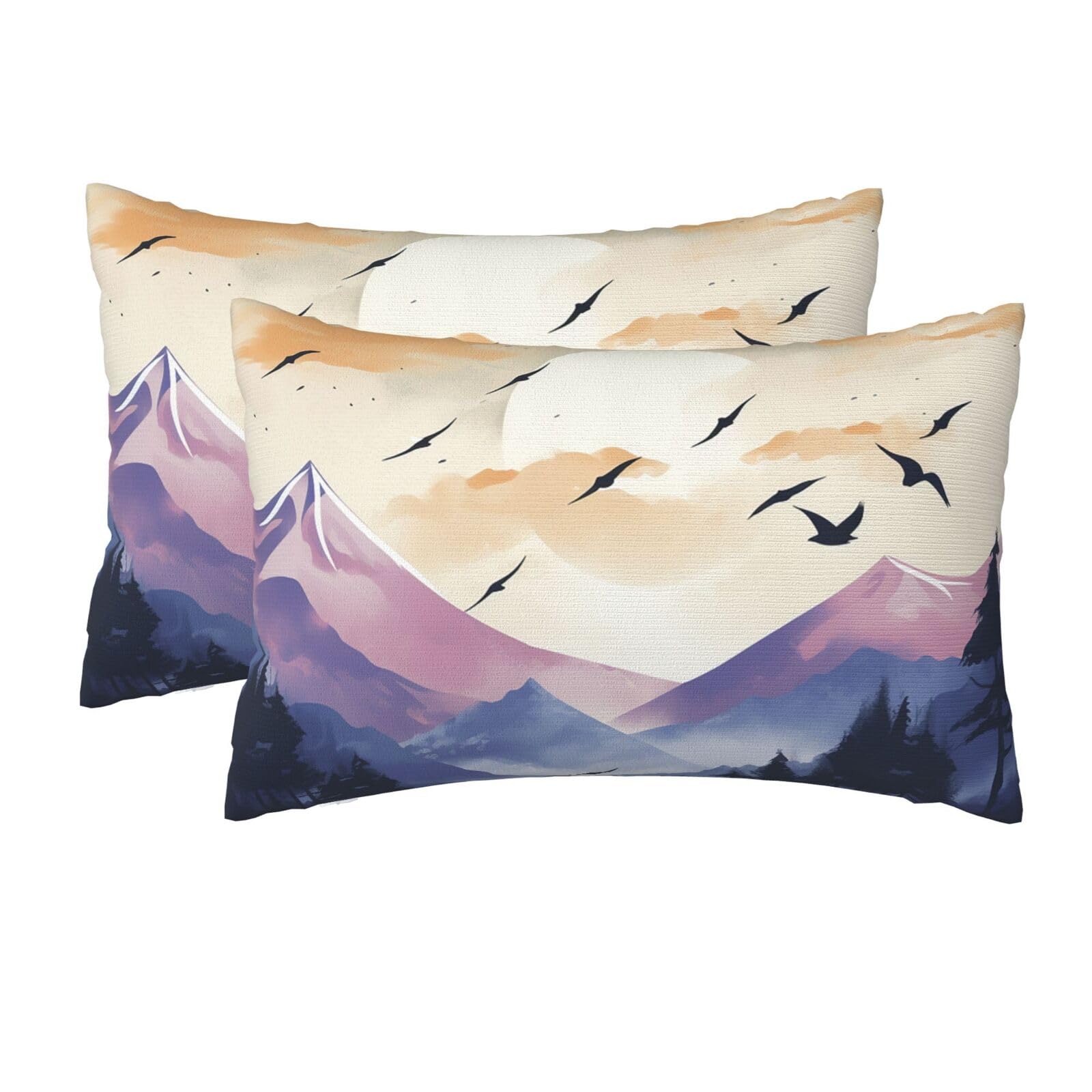 2 Pack Queen Size Pillow Cases for Hair and Skin Soft Breathable Pillow Case Covers with Hidden Zipper Birds Flying at Sunset Pillowcase 20x30 Inches Pillow Cover for Sleeping Gift