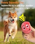 Squeaky Dog Toys, [6 Pack] Soft Stuffed Plush Balls with Squeakers, Interactive Fetch Play for Puppy Small Pets