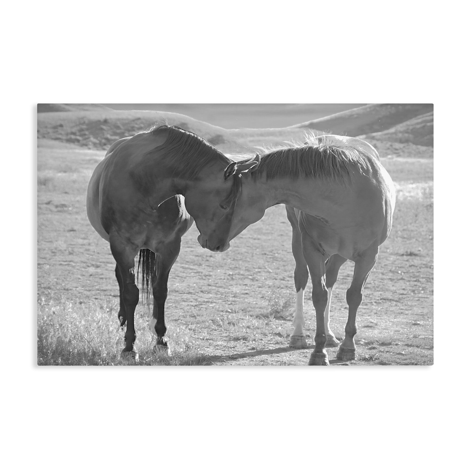 Stupell Industries Unframed 'Sweet Nothings Bond Between Horses'| Canvas Art