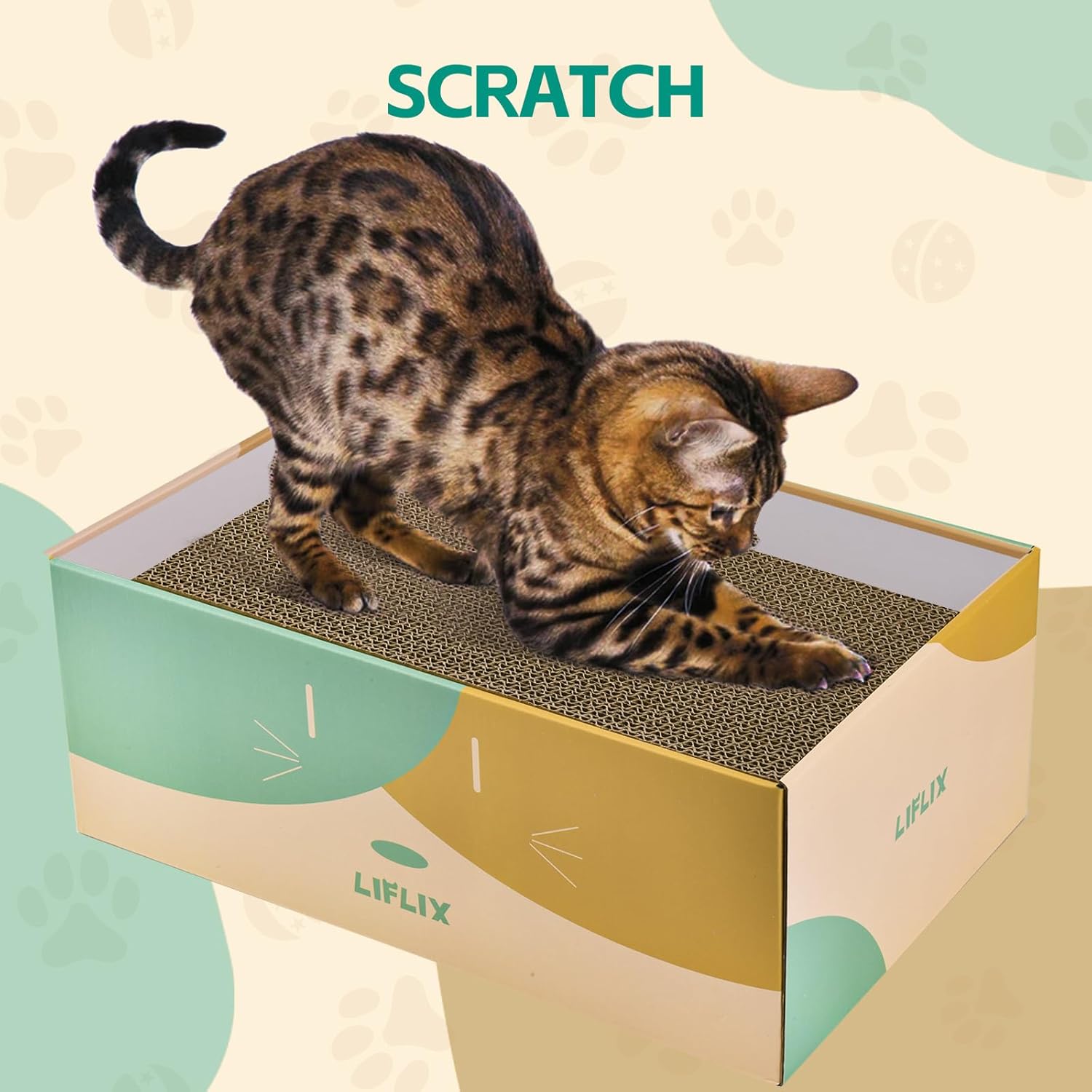 review Cardboard Cat Scratcher Box with Interactive Toy Balls, 2PCS Ramp & 2PCS Flat Cat Scratching Boards, Cat Cardboard Scratcher for Indoor Cats to Rest and Play, 15