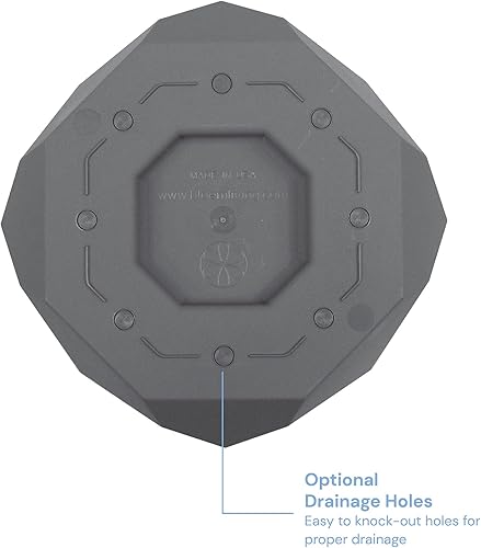 Miniatura 3 de Bloem Maceta hexagonal Tuxton 8 pulgadas color carbón maceta pequeña geométrica moderna y única resina duradera diseño moderno agujeros de drenaje