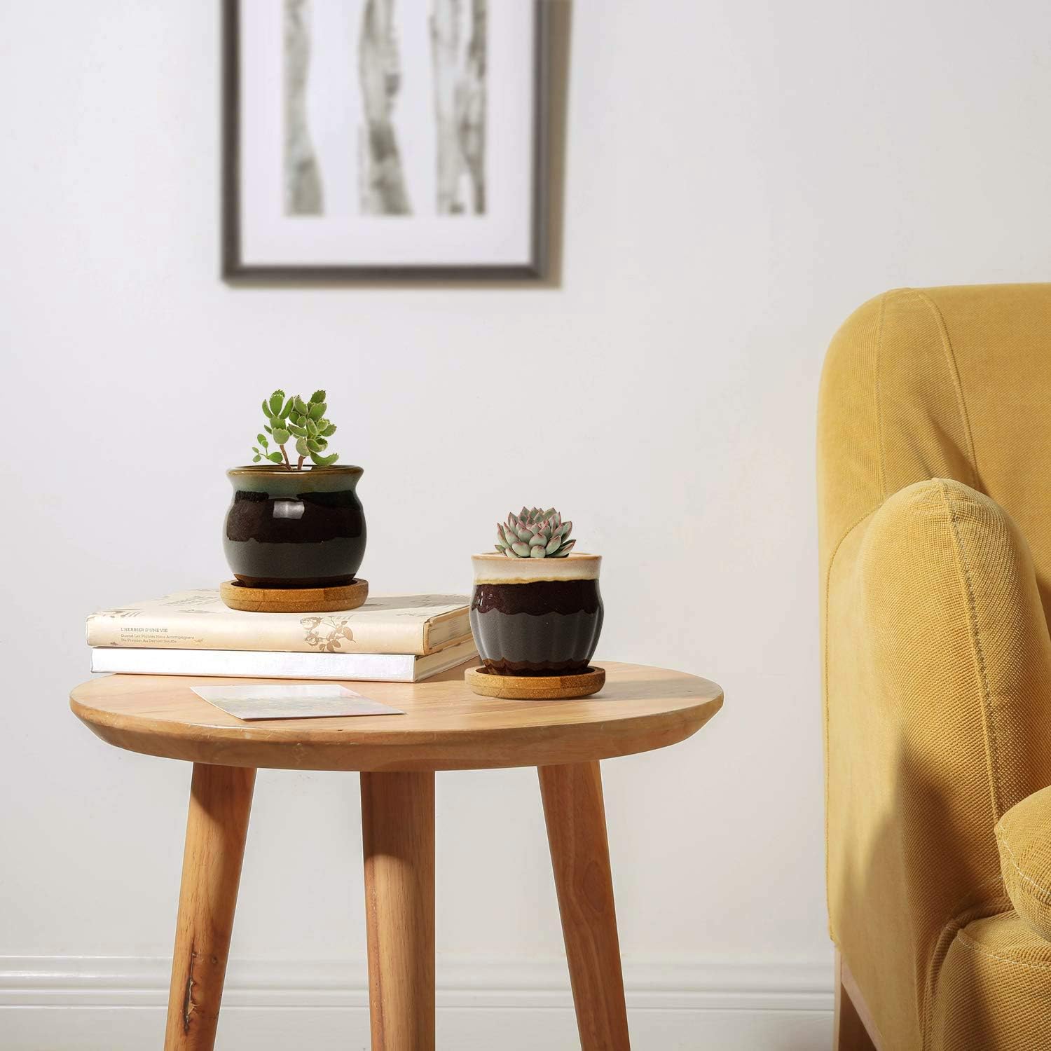 FairyLavie Succulent Pots, 2.5'' Ceramic Succulent Planter, Small Succulent Pot with Drainage, Great for Home Decor and Ideal Gift, Set of 12 : Patio, Lawn & Garden