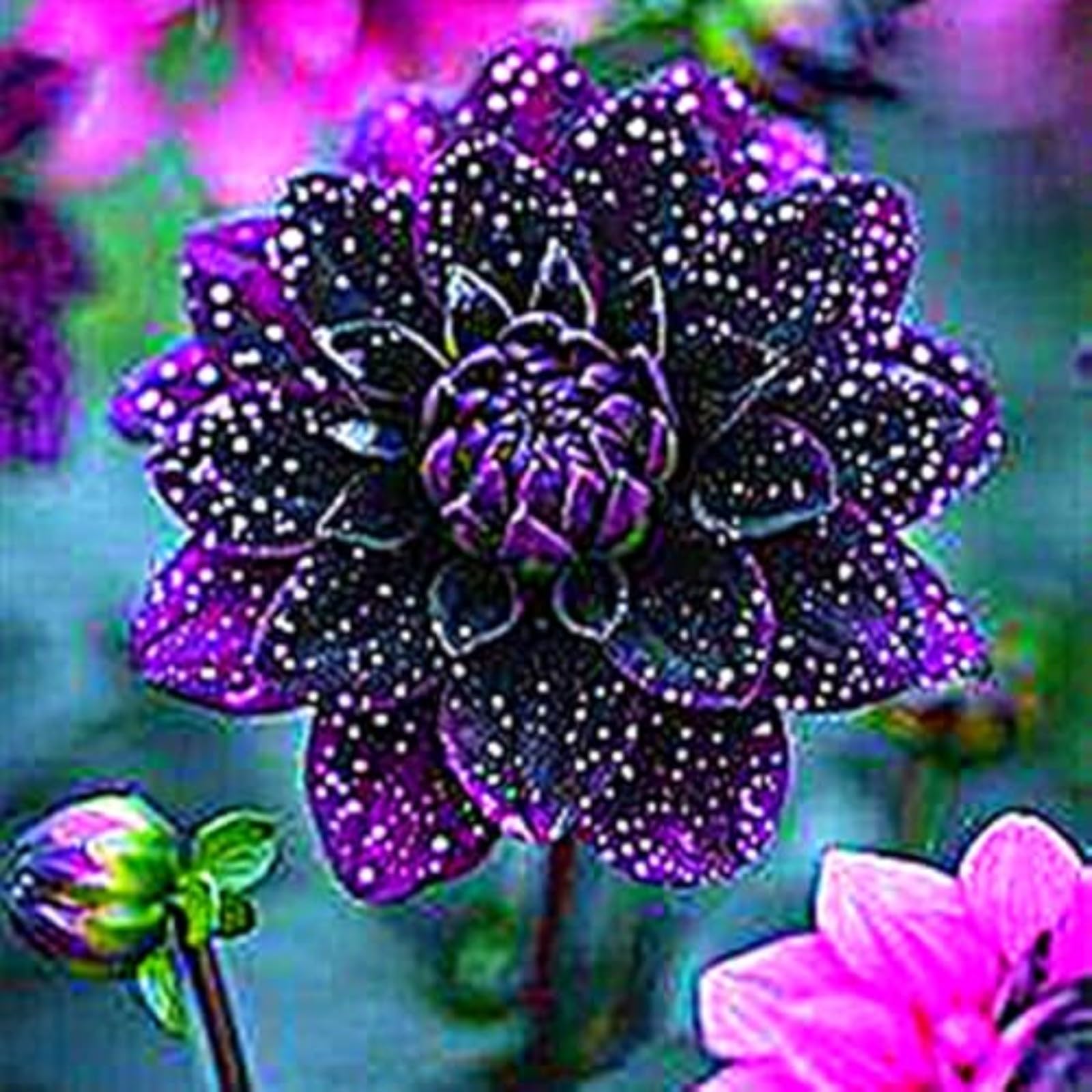 Dahlia Bulbs Mix for Planting Now UK/Greening Flower/Good for Containers/Strong Plants That Grow Well/Natural Organic/Cut Flowers/Wedding Flowers.-8bulbs-C