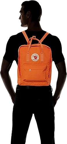 Vista 69 de Fjallraven Mochila Kanken Classic para el diario Azul cielo