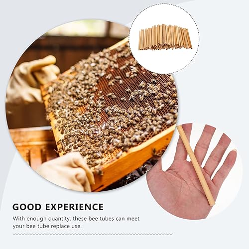 Miniatura 9 de Tofficu Mason Bee Nesting Reeds Reed Tubes for Bee Houses Bee Tube Reed 100pcs Mason Bee Tubes, Bee House Refill Pack, Tubes Refill Tube