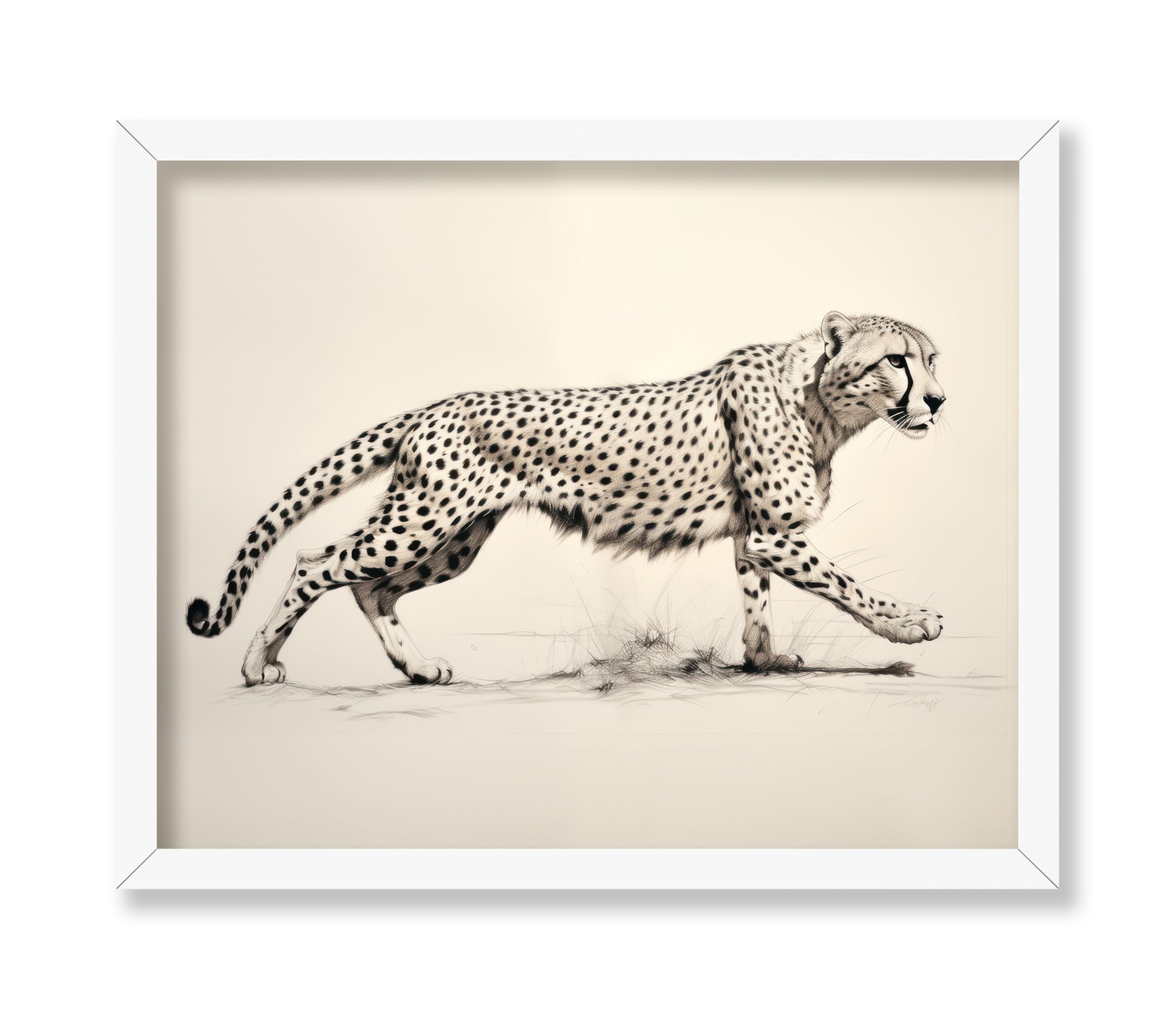 Poster Master Cheetah Poster - Striding Cheetah Print - Drawing Art - Sketch Art - Minimal Art - Gift for Men, Women & Animal Lover - Decor for Living Room, Dorm or Kids Room, 16x20 White Framed