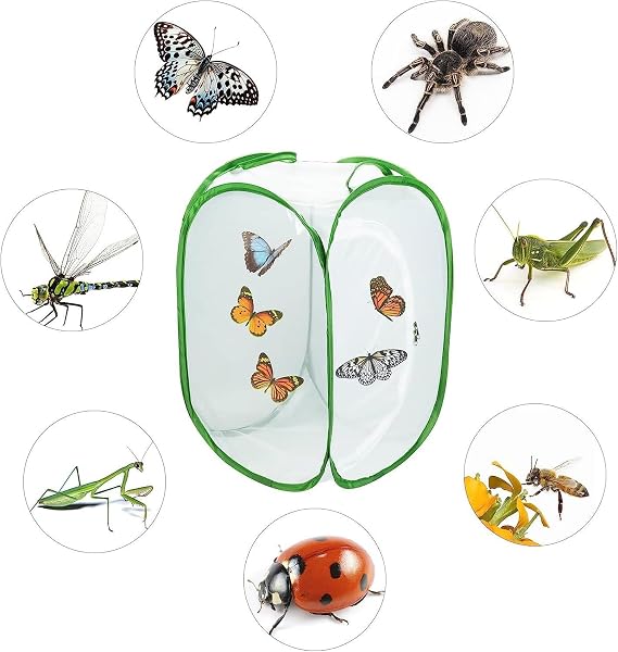 Butterfly and Insect Habitat Cage,Ompinda Collapsible and Transparent Pop-up Butterfly Net Cage for Caterpillars, Flying Insect,Observation Plant - 5